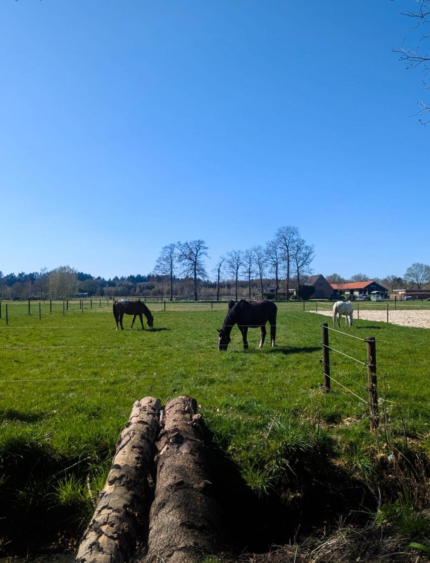 Hotel Chique Chalet Met Zicht Over De Weilanden Op De Veluwe Epe Exterior foto